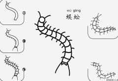 蜈蚣怎么画简笔画图片