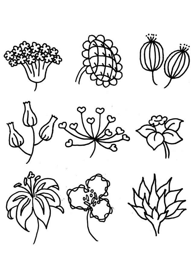 花朵简笔画图片素材