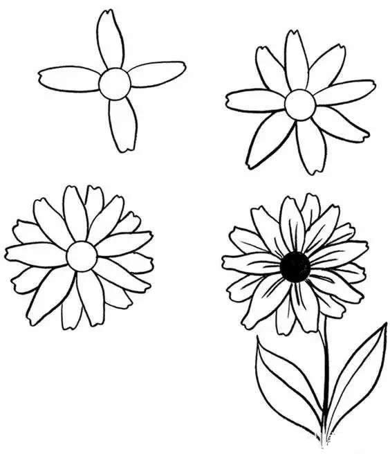 各种花儿的简笔画图片大全