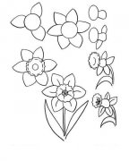 各种花儿的简笔画图片大全