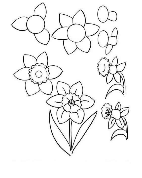 各种花儿的简笔画图片大全