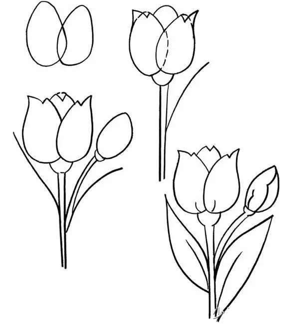 各种花儿的简笔画图片大全