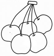 樱桃简笔画图片素材大全