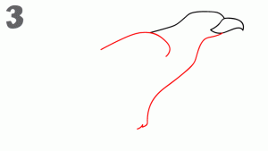 老鹰简笔画步骤图