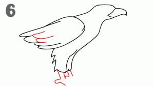 老鹰简笔画步骤图