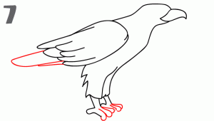 老鹰简笔画步骤图