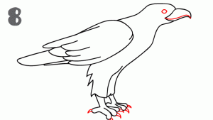 老鹰简笔画步骤图