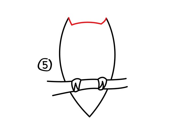 猫头鹰简笔画步骤图