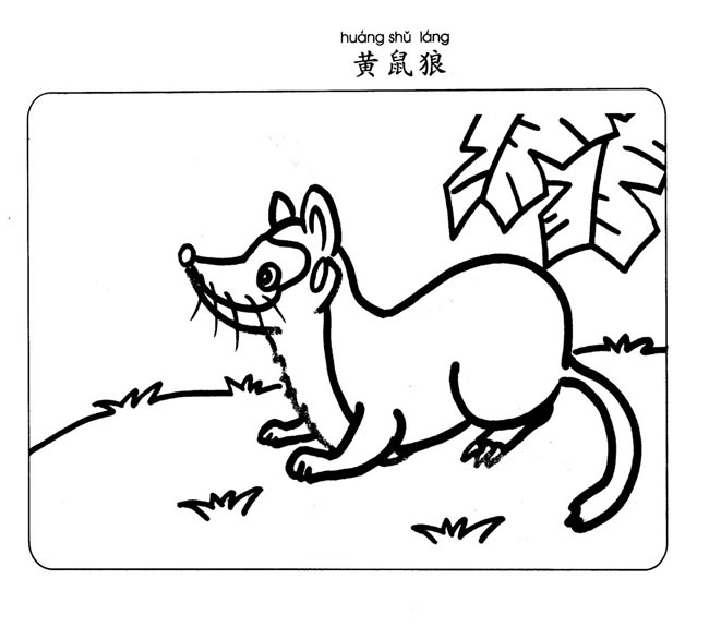 黄鼠狼简笔画