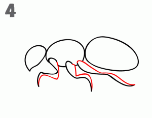 马蜂简笔画步骤图