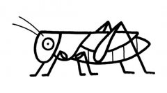 昆虫蚂蚱简笔画图片大全