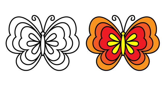 美丽的蝴蝶简笔画