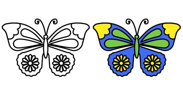 美丽的蝴蝶简笔画