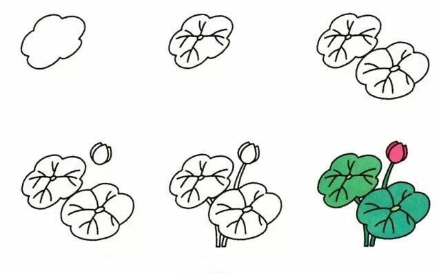 荷花简笔画