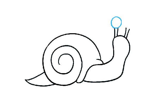 蜗牛简笔画绘画步骤图教程