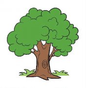 枝繁叶茂的大树简笔画步骤图片大全