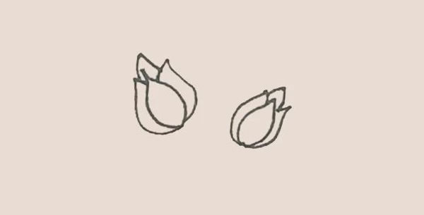 月季花简笔画步骤图