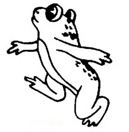 青蛙简笔画图片大全_蹲在荷叶上的可爱青蛙简笔画画法图片