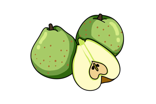 莱阳梨简笔画