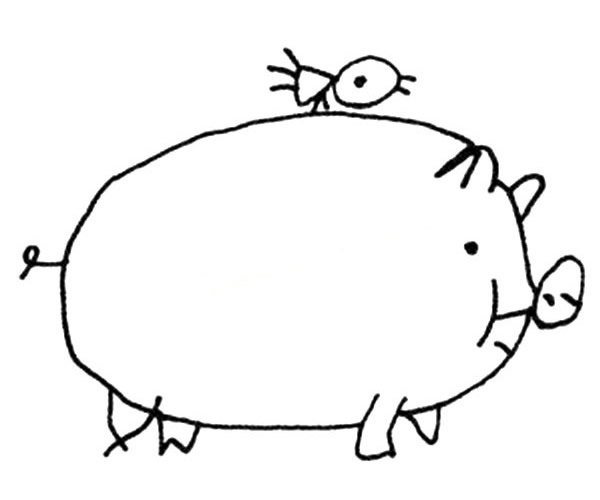 可爱的大肥猪简笔画画法图片