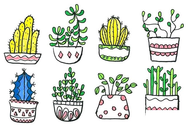 盆栽植物简笔画9