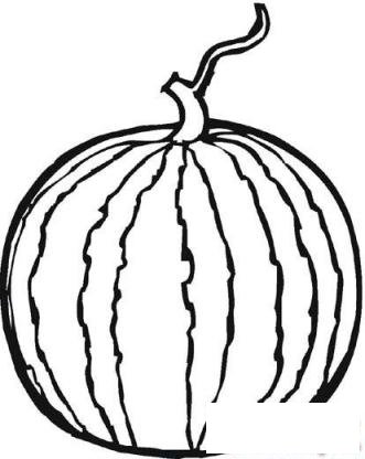 夏天的西瓜简笔画