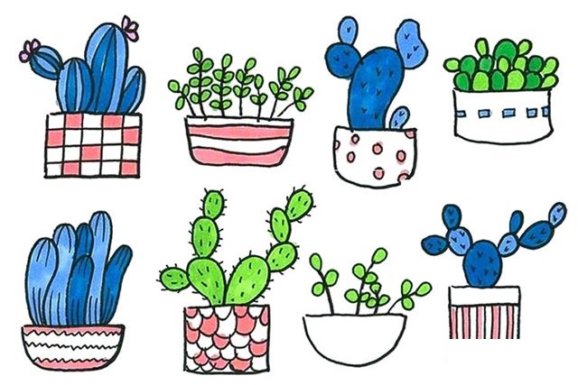 盆栽植物简笔画3