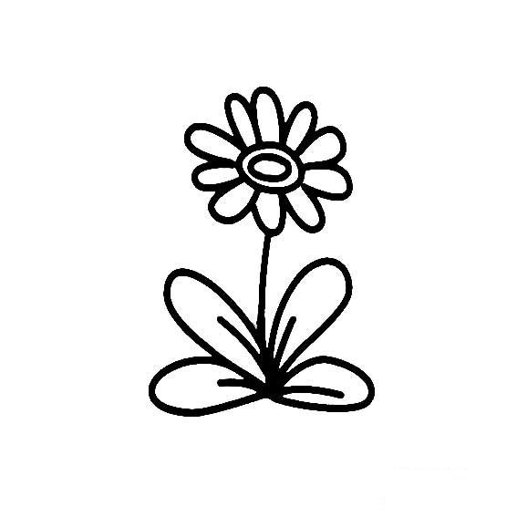 小菊花的简易画法3