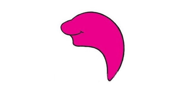 海豚简笔画图片