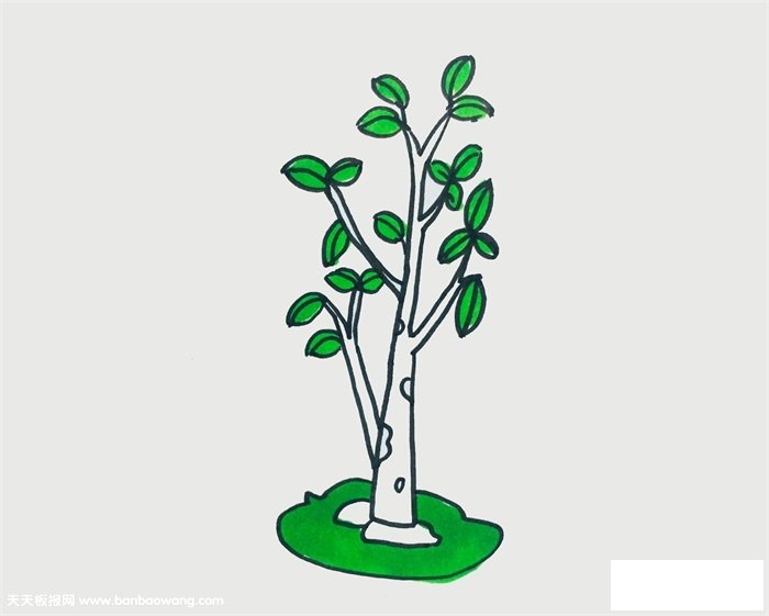 小树怎么画