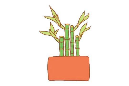 富贵竹简笔画图片大全作品二