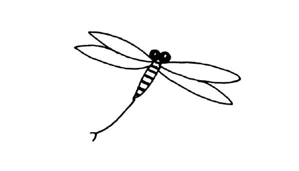 蜻蜓简笔画