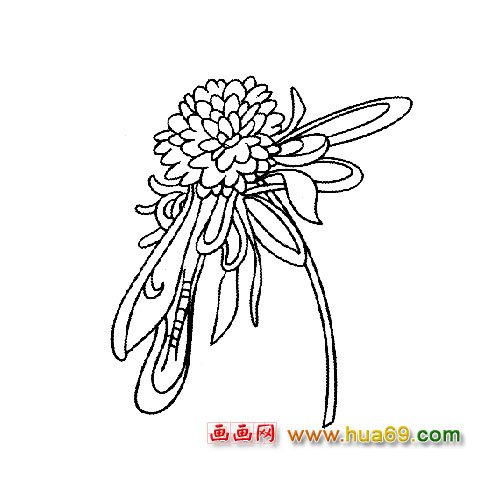 盛开的菊花│花卉简笔画