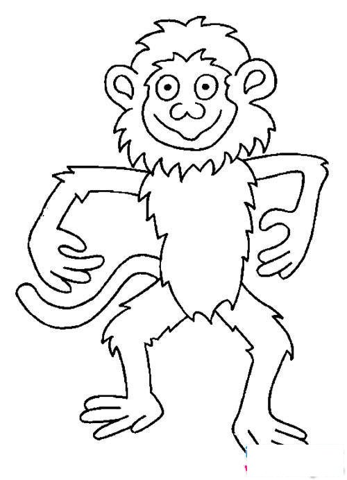 儿童猴子简笔画图片大全