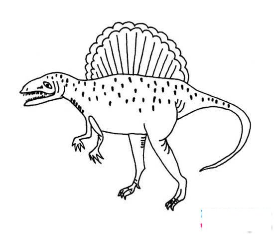 小学生恐龙简笔画图片：棘龙