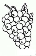 教你画葡萄简笔画
