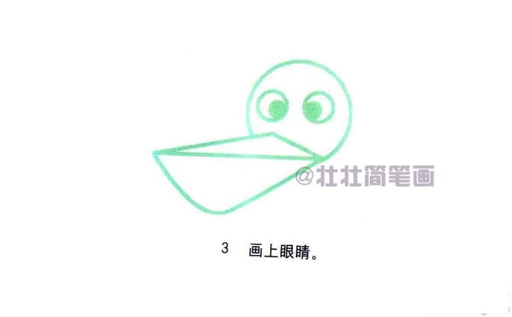 鸬鹚简笔画画法_怎么画鸬鹚的简笔画