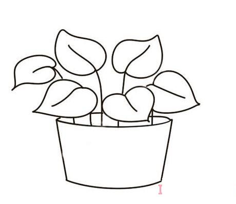 绿萝的画法步骤图带颜色简笔画图片