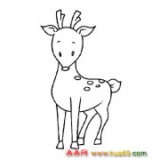 乖巧的小梅花鹿动物简笔画