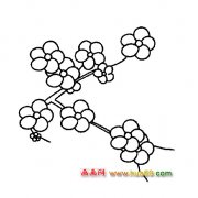 花卉简笔画：盛开的梅花