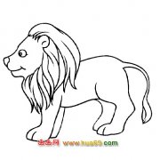 高大的狮子简笔画2