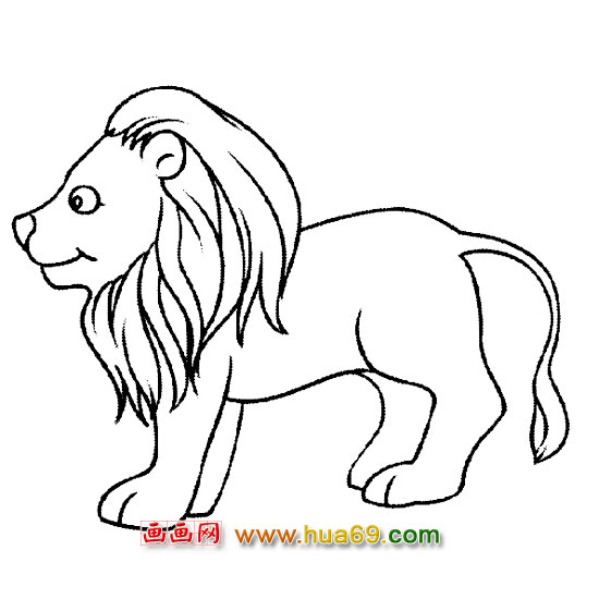高大的狮子简笔画2