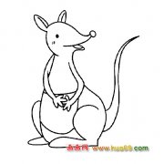高兴的袋鼠【简笔画】5