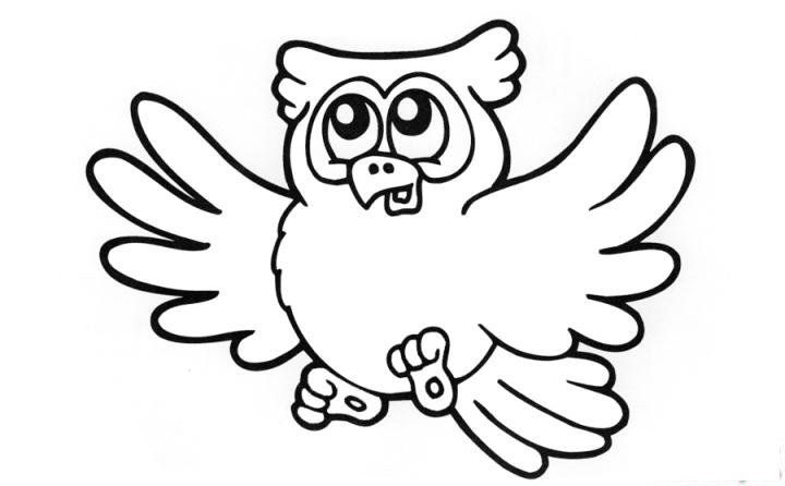 彩色简笔画猫头鹰的图片教程