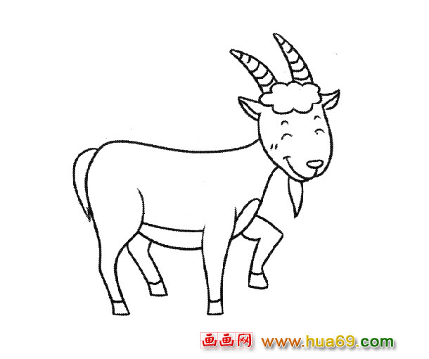 一只山羊（简笔画）