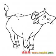 儿童简笔画：一头水牛