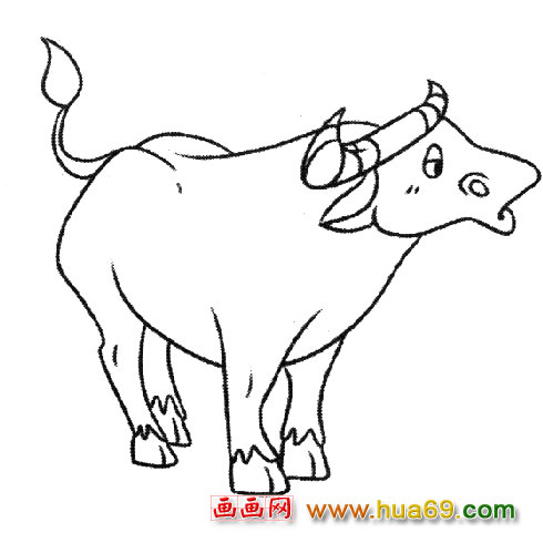 儿童简笔画:一头水牛