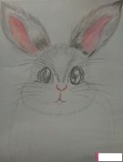 小动物简笔画图片,超萌小兔子简笔画