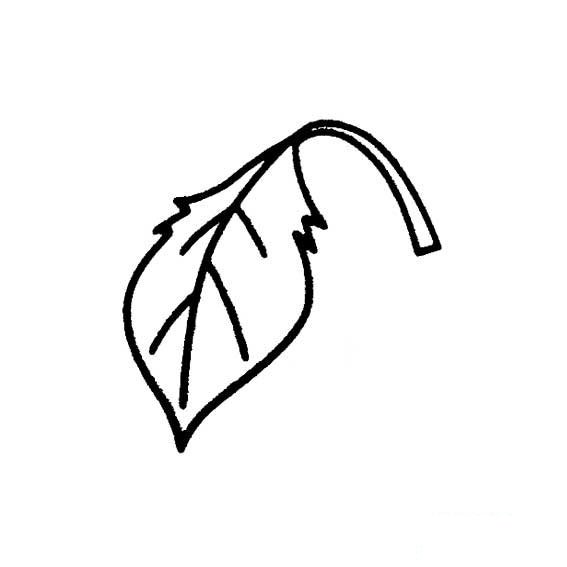 一片叶子的简单画法