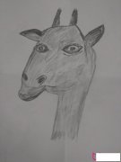 小动物简笔画图片,可爱的鹿头像简笔画